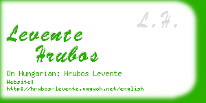 levente hrubos business card
